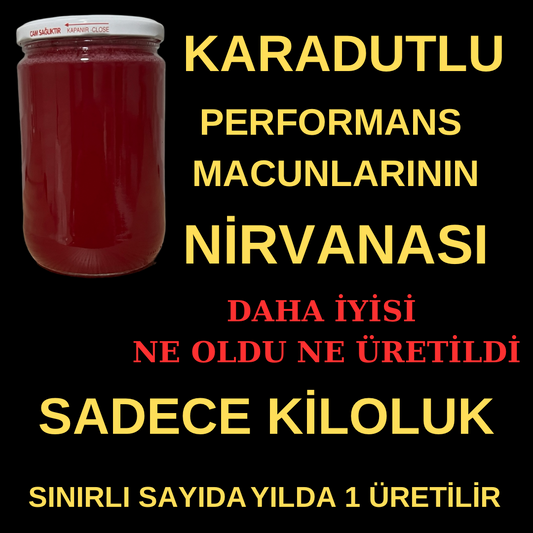 KARADUTLU SADRAZAM POWER